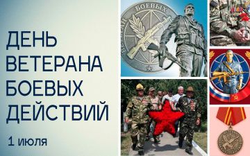 Татьяна Томилина: День ветеранов боевых действий — день общей памяти, общей гордости и общего уважения ко всем, кто выполнил свой долг перед Отчизной