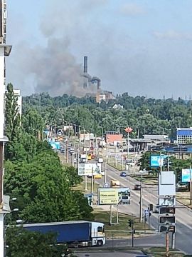 ��� � �����: � ������ �������� � ��������������