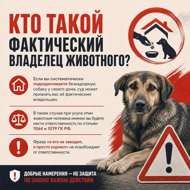 Кто такой фактический владелец животного?