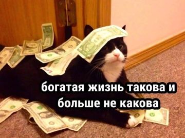 ������ �2 ����� ����� ������ ���������� ����� � ����