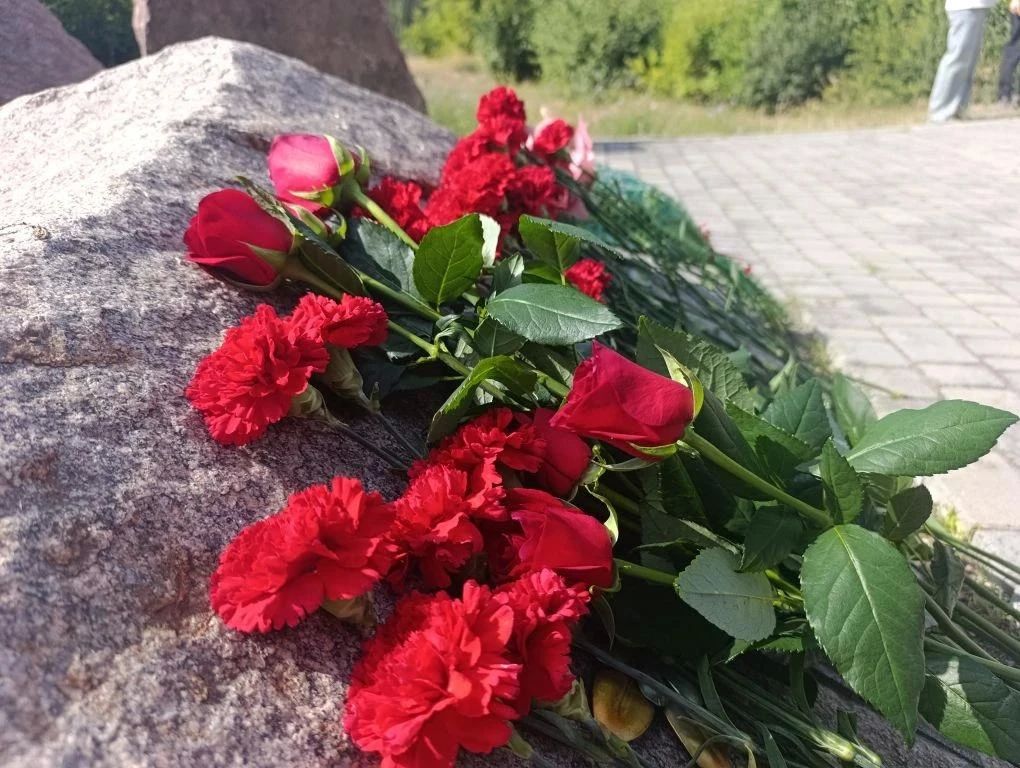 Уважаемые ветераны боевых действий, дорогие земляки! Уважаемые ветераны боевых действий, дорогие земляки!