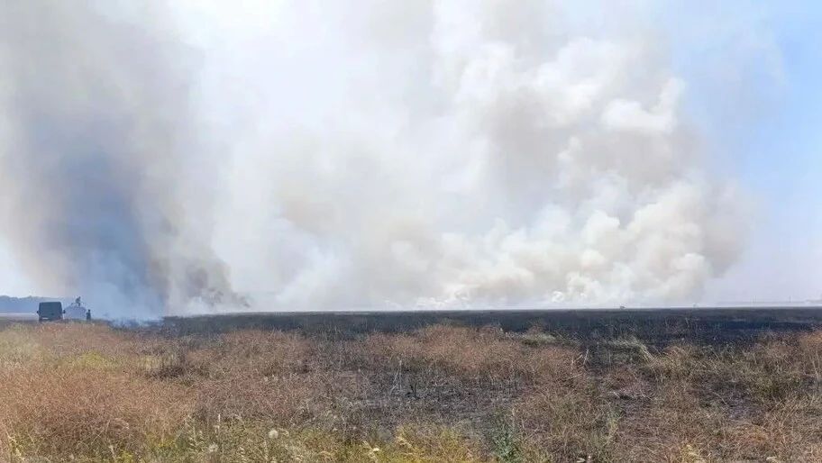 В результате атак ВСУ возникло пять возгораний на заповедных территориях «Аскания-Нова»