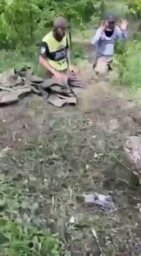 ����������� ��������������