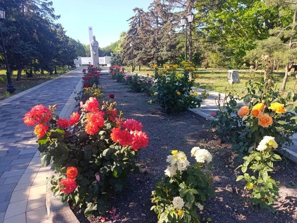 Доброе утро, жители и гости Генического округа!
