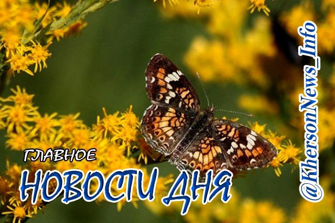 Четверг, 02 июля 2026 г.: Херсонщина по обе стороны войны