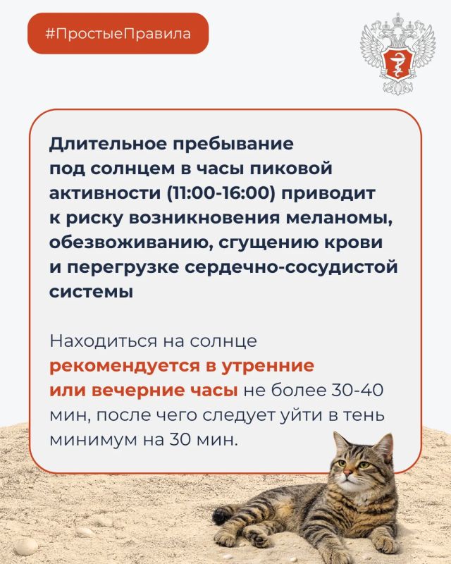 #ПростыеПравила: Как безопасно организовать пляжный отдых под солнцем #ПростыеПравила: Как безопасно организовать пляжный отдых под солнцем