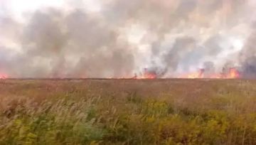 В заповеднике "Аскания-Нова" в Каховском районе Херсонской области из-за атак ВСУ выгорело около 2,1 тыс