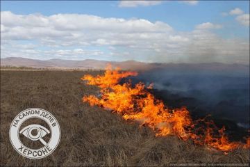3 июля в нескольких округах Херсонской области объявлена чрезвычайная пожарная опасность