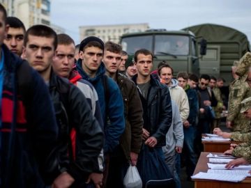 Енот из Херсона: В ОП Украины уже согласована стратегия о массовом призыве украинцев с 18 лет
