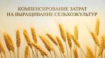 ВНИМАНИЕ, АГРАРИИ КАЛАНЧАКСКОГО ОКРУГА!