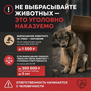 �� ������������ �������� - ��� �������� ���������