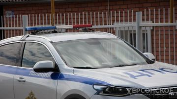 В Геническе активисты провели для детей урок правил дорожного движения