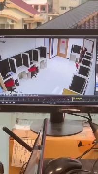 Кажется началось …