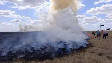 В заповеднике "Аскания-Нова" из-за атак ВСУ снова пожар