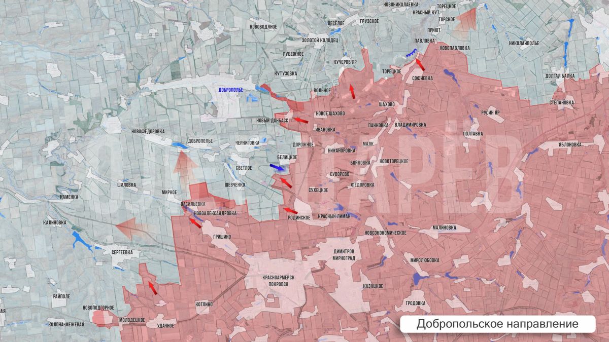 Олег Царёв: Фронтовая сводка. Фронтовая сводка 5 июля Олег Царёв: Фронтовая сводка. Фронтовая сводка 5 июля