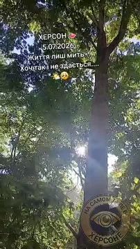 Херсон, сегодня.. По счастью, рядом не было тытанив ППО. С тех бы сталось уронить гераньку людям на голову ПОДПИСАТЬСЯ