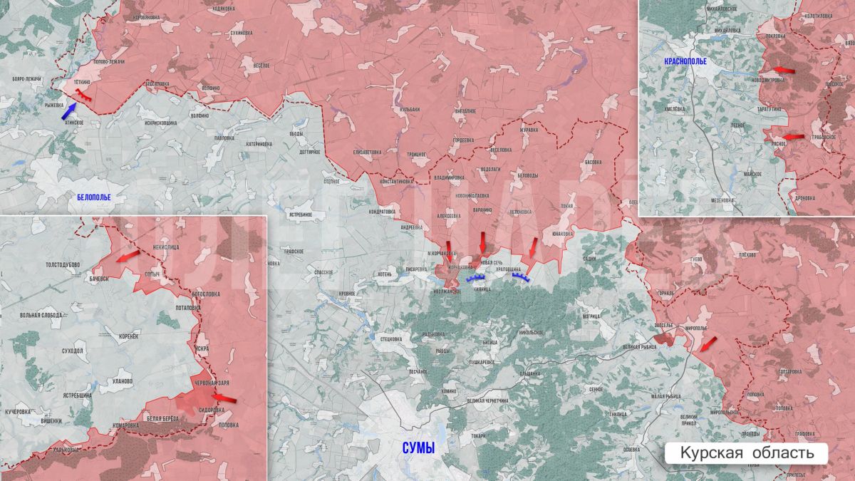 Олег Царёв: Фронтовая сводка. Фронтовая сводка 5 июля Олег Царёв: Фронтовая сводка. Фронтовая сводка 5 июля