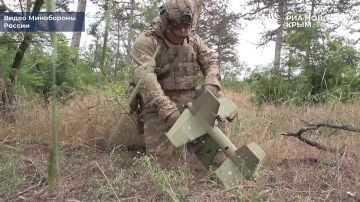 Дрон-перехватчик "Елка" уничтожил украинский ударный БПЛА в небе над Херсонской областью