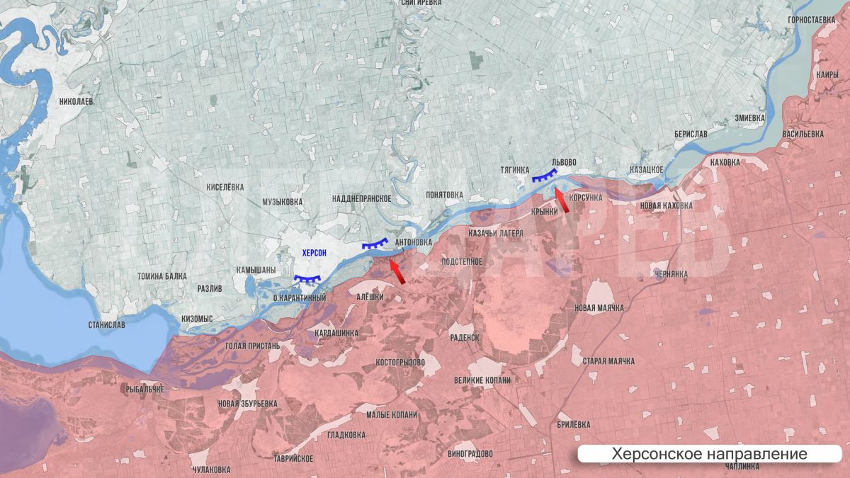 Олег Царёв: Фронтовая сводка. Фронтовая сводка 5 июля Олег Царёв: Фронтовая сводка. Фронтовая сводка 5 июля