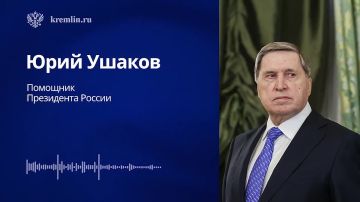 Трамп подтвердил готовность содействовать миру на Украине: Юрий Ушаков об итогах телефонного разговора Владимира Путина с Президентом США