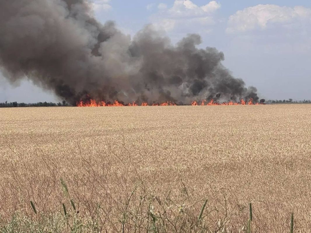 Дома сгорели дотла, поле в огне: Каховский округ атаковали беспилотники ВСУ Дома сгорели дотла, поле в огне: Каховский округ атаковали беспилотники ВСУ