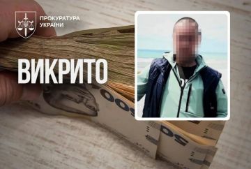 Енот из Херсона: «Забывчивый» депутат: как народный избранник «потерял» 82 объекта недвижимости, а отделался смехотворным штрафом