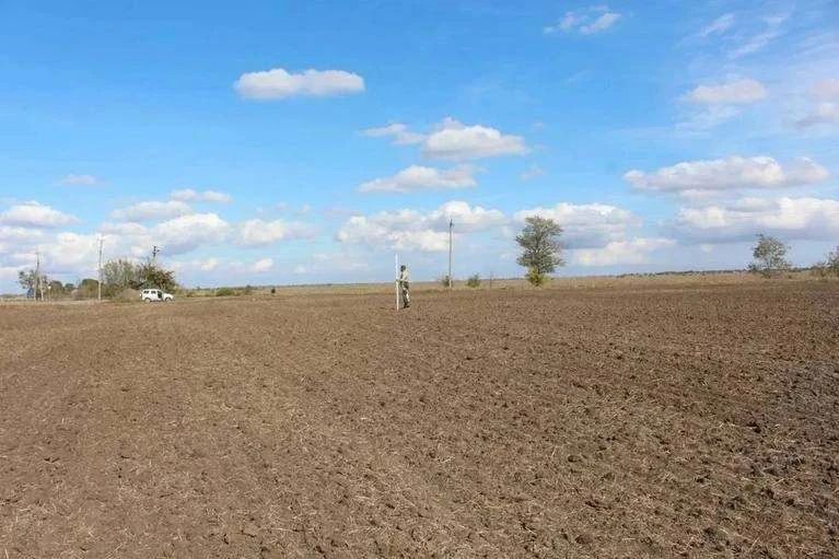В Херсонской области обнаружен древний курган