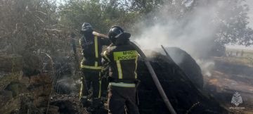 Хозяйственные постройки загорелись в Новониколаевке Новотроицкого округа