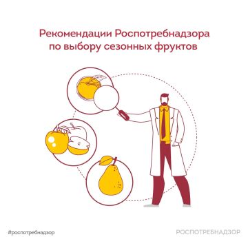 Лето — это время свежих овощей, фруктов и ягод! Употребление сезонной продукции важно для получения витаминов и микроэлементов, необходимых для здоровья