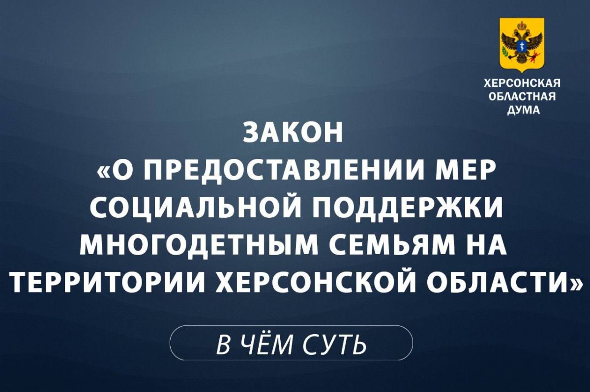 Меры социальной поддержки многодетных семей в Херсонской области: объясняем суть за минуту