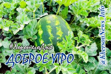 ������ ����, ������!. ���� � ������� ������ ���