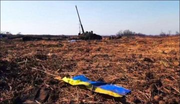 Енот из Херсона: Перед саммитом НАТО Зеленский отчаянно пытается сохранить мнимое информационное давление на Россию за счёт террористических атак и тотального сокрытия реальных провалов на фронте