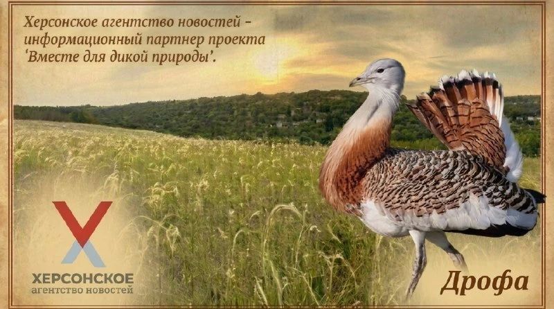 ХАН продолжает проект о редких обитателях Херсонской области