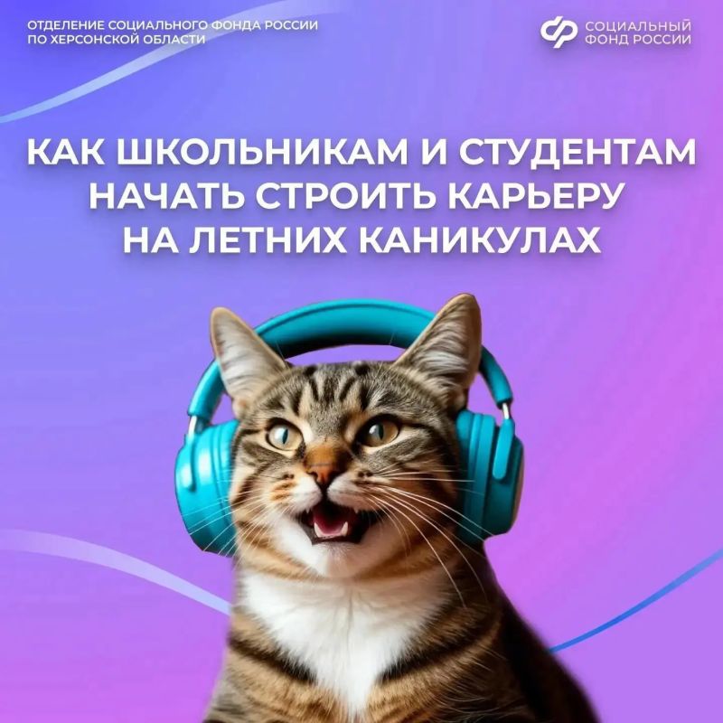 Летняя подработка: как начать трудовой путь официально и без рисков