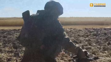Военнослужащие группировки войск "Днепр" сорвали ротацию ВСУ в Запорожской области