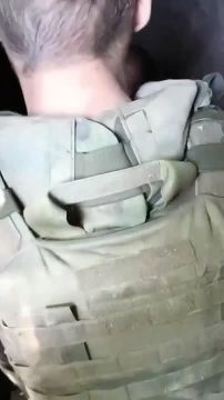 ���� �������� ����� �������