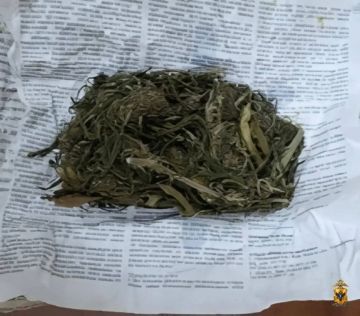 ������ ����������������� ������ �������� � ���������� ����� ����������
