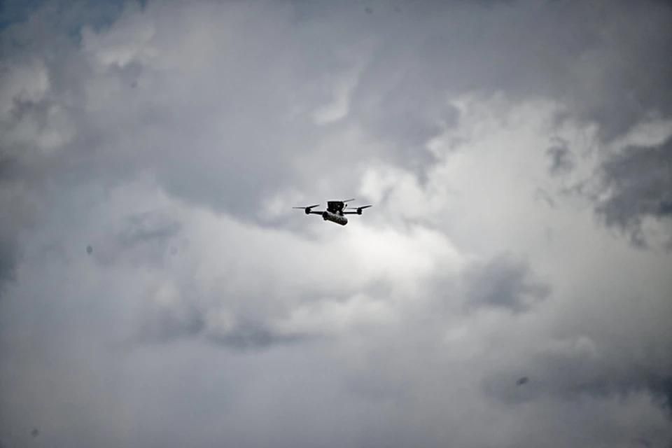Над Херсонской областью за ночь сбили 19 украинских беспилотников
