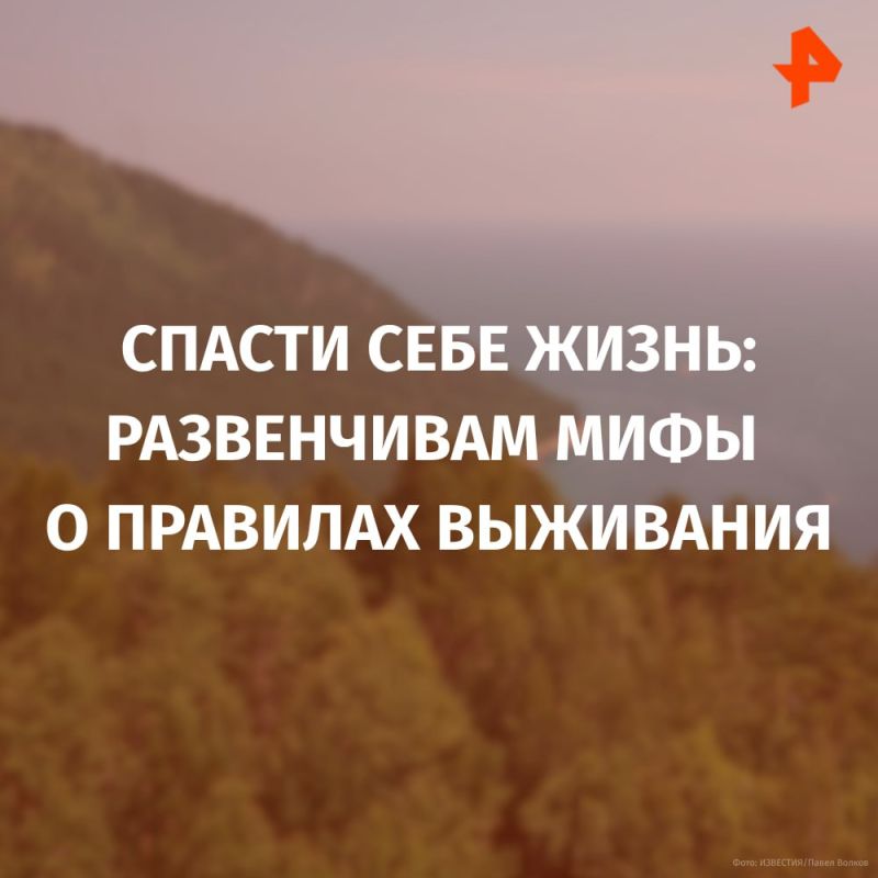 Не пить мочу и не лезть на деревья: что делать, если вы заблудились в лесу? Не пить мочу и не лезть на деревья: что делать, если вы заблудились в лесу?