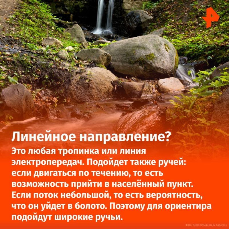 Не пить мочу и не лезть на деревья: что делать, если вы заблудились в лесу? Не пить мочу и не лезть на деревья: что делать, если вы заблудились в лесу?