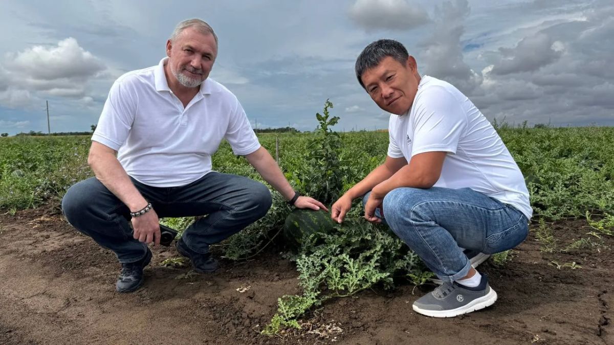 Константин Басюк: Работа в регионе. Скадовский МО Константин Басюк: Работа в регионе. Скадовский МО