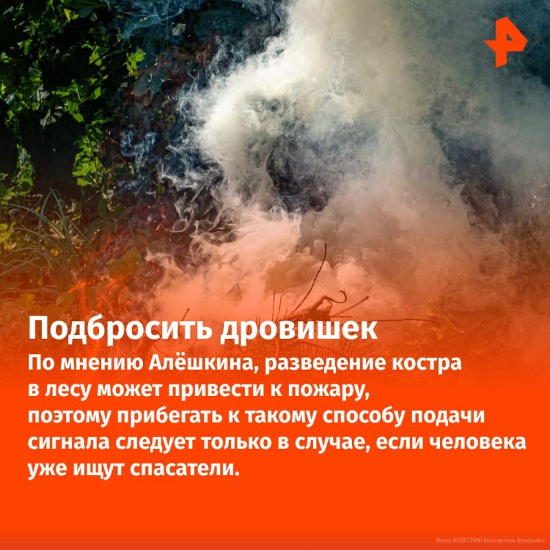 Не пить мочу и не лезть на деревья: что делать, если вы заблудились в лесу? Не пить мочу и не лезть на деревья: что делать, если вы заблудились в лесу?