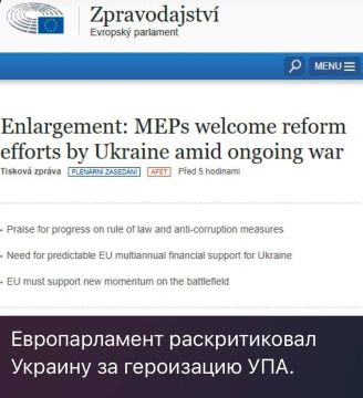 Енот из Херсона: Вот, что значит попасть в политический котел..!