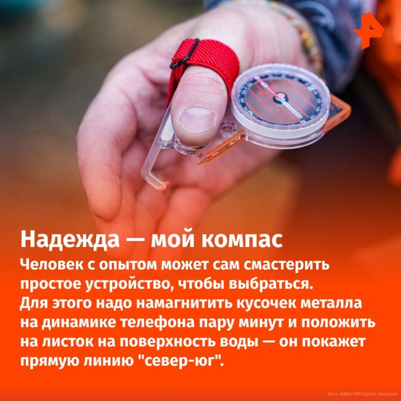 Не пить мочу и не лезть на деревья: что делать, если вы заблудились в лесу? Не пить мочу и не лезть на деревья: что делать, если вы заблудились в лесу?
