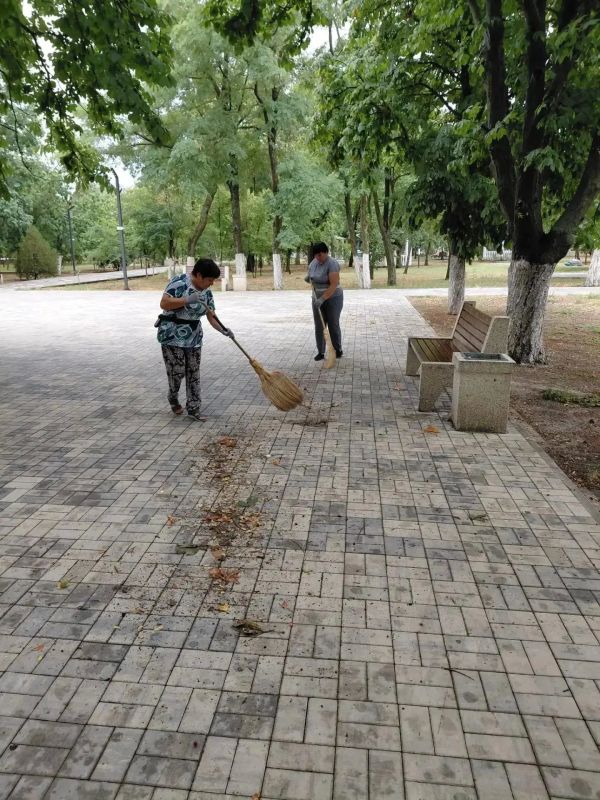Чистота и порядок: ежедневная работа на благо жителей Чистота и порядок: ежедневная работа на благо жителей