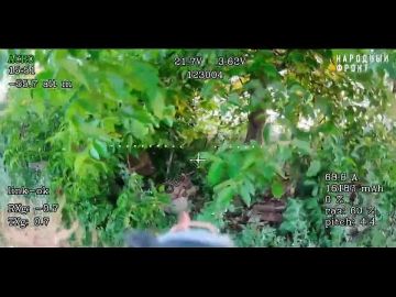 ������ ��������� ������ �������� ��������� �� ����������������