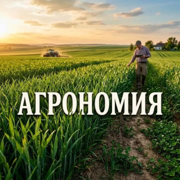 Агрономия: сочетай традиции с инновациями и создавай продовольственную безопасность страны!