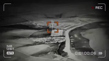 ������� � ����������� �����������
