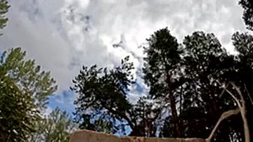 ����� ����������� ������ ���������� ���������� �������� ����������������� ���������, ���������� ��������� ������� ����������� �� ����������� �����������
