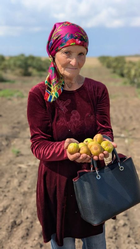 Херсонщина стала героем нового туристического телепроекта Херсонщина стала героем нового туристического телепроекта